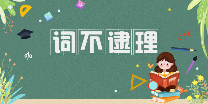 词不逮理