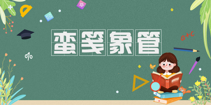 蛮笺象管