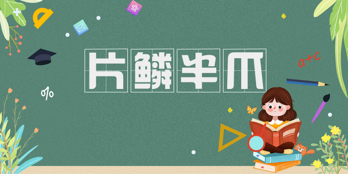 片鳞半爪