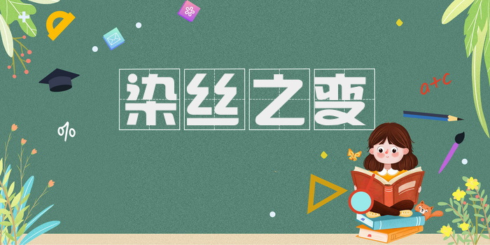 染丝之变