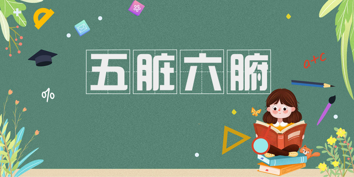 五脏六腑