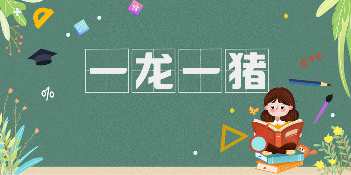 一龙一猪