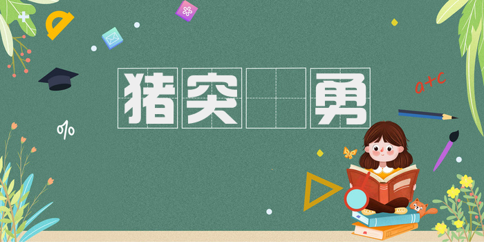 猪突豨勇