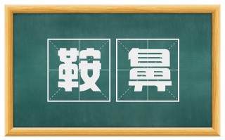 鞍鼻