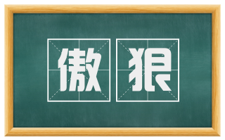 傲狠