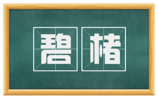 碧楮