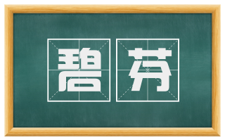 碧芬