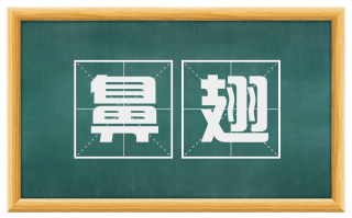 鼻翅