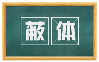 蔽体