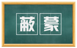 蔽蒙