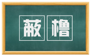 蔽橹