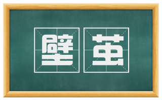 壁茧