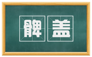 髀盖