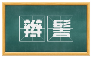 辫髻