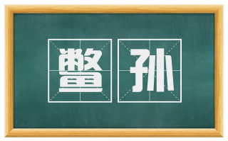鳖孙