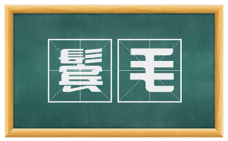 鬓毛
