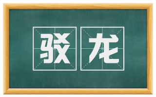 驳龙