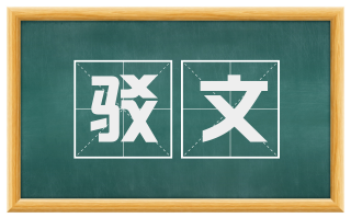 驳文