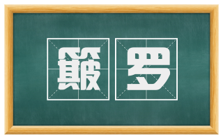 簸罗