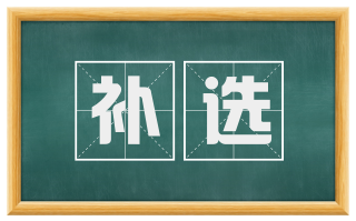 补选