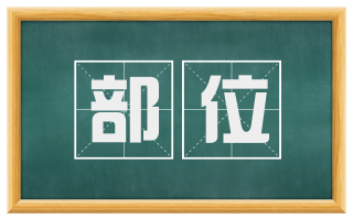 部位
