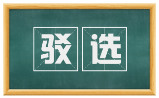 驳选