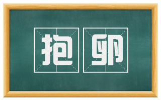 抱卵