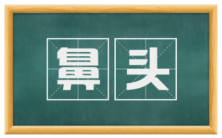 鼻头