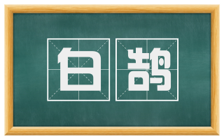 白鹄