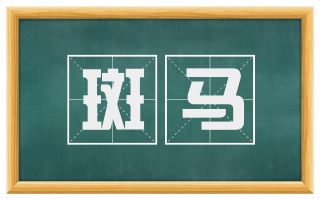斑马