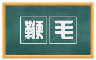 鞭毛