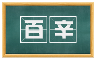 百辛