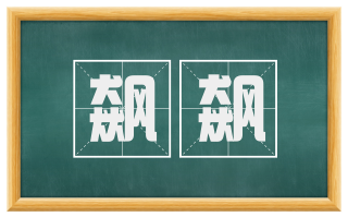 飙飙