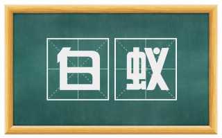 白蚁