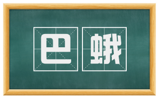 巴蛾