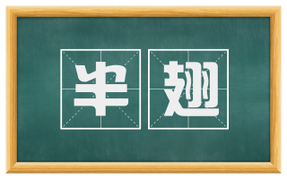 半翅