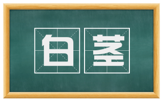 白茎