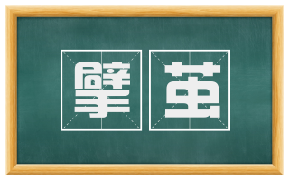 擘茧