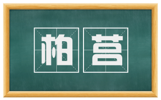 柏莒