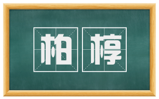 柏椁