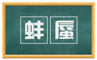 蚌蜃