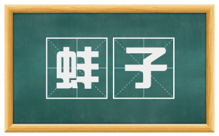 蚌子