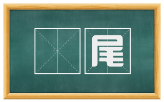 搒尾