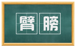 臂膀