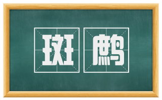 斑鹧
