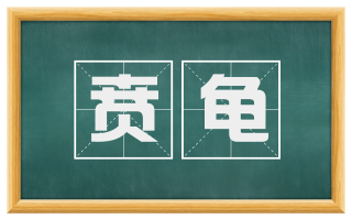 贲龟