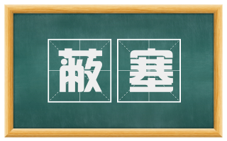 蔽塞
