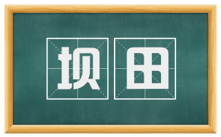 坝田
