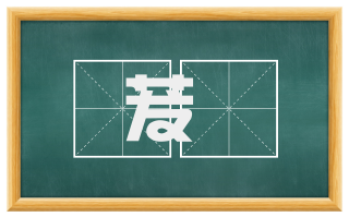 茇葀