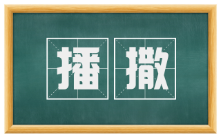 播撒